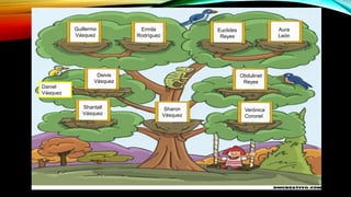 Deivis
Vásquez
Obdulinet
Reyes
Sharon
Vásquez
Shantall
Vásquez
Verónica
Coronel
Guillermo
Vásquez
Ermila
Rodríguez
Euclides
Reyes
Aura
León
Daniel
Vásquez
 