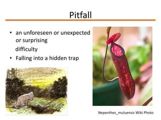 Pitfall
• an unforeseen or unexpected
or surprising
difficulty
• Falling into a hidden trap
Nepenthes_muluensis Wiki Photo
 