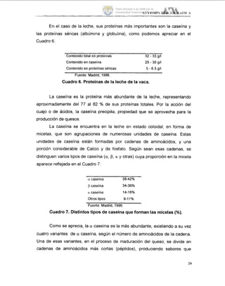 En el caso de la leche, sus proteínas mas importantes son la caseína y
las proteínas séricas (albúmina y globulina), como podemos apreciar en el
Cuadro 6.
Contenidototal en proteínas 32 - 33gll
Contenidoen caseina 25- 30 gll
Contenidoen proteinasséricas
Fuente: Madrid, 1996.
5 - 6.5 g/l
Cuadro 6. Proteínas de la leche de la vaca.
La caseína es la proteína más abundante de la leche, representando
aproximadamente del 77 al 82 % de sus proteinas totales. Por la acción del
cuajo o de ácidos, la caseína precipita, propiedad que se aprovecha para la
producción de quesos.
La caseína se encuentra en la leche en estado coloidal, en forma de
micelas, que son agrupaciones de numerosas unidades de caseína. Estas
unidades de caseína están formadas por cadenas de aminoácidos, y una
porción considerable de Calcio y de fosfato. Según sean esas cadenas, se
distinguen varios tipos de caseína (u,p, K y otras) cuya proporción en la micela
aparece reflejada en el Cuadro 7:
a caseína 3 8 - 4 ~ ~
p caseína 34-36%
K caseína 14-16%
Otrostipos 9-11%
Fuente: Madrid, 1996.
Cuadro 7. Distintos tipos de caseína que forman las micelas (%).
Como se aprecia, la U caseina es la más abundante, existiendo a su vez
cuatro variantes de u caseína, según el número de aminoácidos de la cadena.
Una de esas variantes, en el proceso de maduración del queso, se divide ien
cadenas de aminoácidos más cortas (péptidos), produciendo sabores que
24
Tesis donada a la UAM por la
Universidad Autónoma Chapingo
 