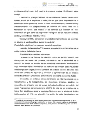 contribuyen al del queso; la p caseína al romperse produce péptidos con sabor
amargo.
La existencia y las propiedades de las micelas de caseína tienen varias
consecuencias en el empleo de la leche; son en gran parte responsable de la
estabilidad de los productos lácteos durante su calentamiento, concentración y
almacenamiento. Su comportamiento es esencial en varias fases de la
fabricación de queso. Las micelas y los cambios que acaecen en ellas
determinan en gran parte las propiedades reológicas de los productos lácteos,
ácidos y concentrados (Walstra, 1987).
Veisseyre (1988), considera 3 propiedades importantes de las caseinas,
de acuerdo al uso tecnológico que se le pueda dar:
Propiedades eléctricas: Las caseínas son electronegativas.
La acidez de las caseínas'') interviene acusadamente en la medida, de la
acidez titulable de la leche fresca.
Solubilidad y propiedades asociativas.
La presencia de fuerzas de cohesión y otras en sentido opuesto, son
susceptibles de anular las primeras, manteniendo así la estabilidad de la
solución En efecto, las micelas se ven sometidas a repulsiones electrostáticas
cuya intensidad crece a medida que las partículas se acercan. Basta neutralizar
estas cargas con cargas positivas (iones H' de ácidos o cationes de sales) para
anular las fuerzas de repulsión y provocar la aglomeración de las micelas
sometidas entonces Únicamente al movimiento browniano (Veisseyre, 1988).
En cuanto a las proteínas séricas de la leche, las más importantes son la
lactoalbúmina y la Iactoglobulina, se denominan proteínas solubles; se
encuentran en el suero que se separa del coágulo obtenido por adición del
cuajo. Representan aproximadamente el 20% del total de las proteínas de la
leche. Son solubles en agua y precipitan fácilmente por la adición de ácidos
(tricloroacético al 12%, por ejemplo). La acción del calor (temperaturas de
'I' La acidez de lascaseínas se da por el balance de los p p o s ionizables en diversascaseínas, es decir
existe un notable exceso de los grupos ácidos sobre los básicos. Este exceso se explica porla abundancia
de aminoácidosdiácidos (ácido glutámicoy aspartico), por la presenciade fosfoserinay en el caso de la
caseína K. por la presenciade ácido siálico.
25
Tesis donada a la UAM por la
Universidad Autónoma Chapingo
 