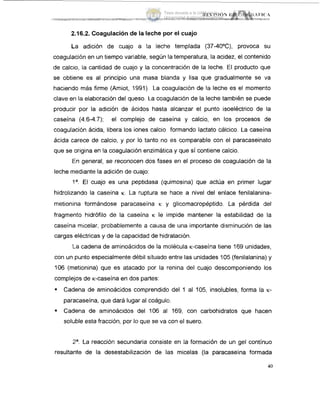 2.16.2. Coagulaciónde la leche por el cuajo
La adición de cuajo a la leche templada (37-4OoC), provoca SU
coagulación en un tiempo variable, según la temperatura, la acidez, el contenido
de calcio, la cantidad de cuajo y la concentración de la leche. El producto que
se obtiene es al principio una masa blanda y lisa que gradualmente se >va
haciendo más firme (Amiot, 1991). La coagulación de la leche es el momento
clave en la elaboración del queso. La coagulación de la leche también se puede
producir por la adición de ácidos hasta alcanzar el punto isoeléctrico de la
caseína (4.6-4.7); el complejo de caseina y calcio, en los procesos lde
coagulación ácida, libera los iones calcio formando lactato cálcico. La caseina
ácida carece de calcio, y por lo tanto no es comparable con el paracaseinato
que se origina en la coagulación enzimática y que sí contiene calcio.
En general, se reconocen dos fases en el proceso de coagulación de la
leche mediante la adición de cuajo:
la.El cuajo es una peptidasa (quimosina) que actúa en primer lugar
hidrolizando la caseina K. La ruptura se hace a nivel del enlace fenilalanina-
metionina formándose paracaseína K y glicomacropéptido. La pérdida del
fragmento hidrófilo de la caseina K le impide mantener la estabilidad de la
caseína micelar, probablemente a causa de una importante disminución de las
cargas eléctricas y de la capacidad de hidratación.
La cadena de aminoácidos de la molécula K-caseína tiene 169 unidades,
con un punto especialmente débil situado entre las unidades 105 (fenilalanina) y
106 (metionina) que es atacado por la renina del cuajo descomponiendo los
complejos de K-caseína en dos partes:
= Cadena de aminoácidos comprendido del 1 al 105, insolubles, forma la K-
paracaseína, que dará lugar al coágulo.
Cadena de aminoácidos del 106 al 169, con carbohidratos que hacen
soluble esta fracción, por io que se va con el suero.
2a.La reacción secundaria consiste en la formación de un gel contínuo
resultante de la desestabilización de las micelas (la paracaseína formada
40
Tesis donada a la UAM por la
Universidad Autónoma Chapingo
 