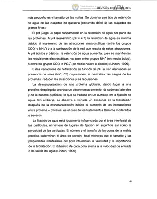 más pequeño es el tamaño de las mallas. Se observa este tipo de retención
de agua en las cuajadas de quesería (escurrido difícil de las cuajadas de
granos finos).
El pH juega un papel fundamental en la retención de agua por parte de
las proteínas. AI pH isoeléctrico (pH = 4.7) la retención de agua es mínima
debido al incremento de las atracciones electrostáticas (entre los grupos
COO- y NH3+)y a la contracción de la red que resulta de estas atracciones.
A pH ácidos y básicos la retención de agua aumenta, pues se manifiestan
las repulsiones electrostáticas, ya sean entre grupos NHJ (en medio ácido),
o entre lo:; grupos COO-o POT (en medio neutro o alcaiino) (Linden, 1996).
Estas variaciones de hidratación en función de pH se ven atenuadas en
presencia de sales (Na+, Cl-)cuyos iones, al neutralizar las cargas de las
proteínas,reducen las atracciones y las repulsiones.
La desnaturalización de una proteína globular, dando lugar a una
proteína desplegada provoca un desenmascaramiento de cadenas laterales
y de la cadena peptídica, lo que se traduce en un aumento en la fijación de
agua. Sin embargo, se observa a menudo un descenso de la hidratación
después de la desnaturalización debido al aumento de las interacciones
entre proteína -proteína: es el caso de los tratamientos térmicos moderados
o severos.
La fijación de agua está igualmente influenciada por el área interfasial de
las partículas, el número de lugares de fijación en superficie así como la
porosidad de las partículas. El nijmero y el tamaño de los poros de la matriz
proteica determinan el área de sorción total mientras que el tamaño y las
propiedades interfasiales del poro influencían la velocidad y la importancia
de la hidiatación. El diámetro de cada poro afecta a la velocidad de entrada
o de salida del agua (Linden, 1996).
64
Tesis donada a la UAM por la
Universidad Autónoma Chapingo
 