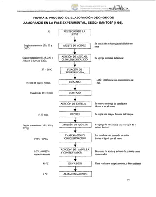 METODOLOGIA
-
FIGURA 3. PROCESO DE ELABORACIÓN DE CHONGOS
ZAMORANOS EN LA FASE EXPERIMENTAL, SEGÚNSANTOSb(1995).
5L
I RECEPCIÓNDE LA 1
LECHE I
Según traiamienito (20,25 y
3 0 9 .
Según tratamiento(125,250y
375g) y 0.02% de CaCL
31- 38°C
0.5 mide cuajo/ 30min
I
v
I AJUSTE.DEACIDEZ I
L1 ADICI~NDE &CAR
CLORURODE CALCIO
FIJACIÓNDE
I TEM'E~lUR4 I
I CIJAJAW I
Se usa ácido acético glacial diluidoen
arma
Se agregala mitaddel azúcar
De& verificarseuna consistenciade
flan.
Cuadrosdi: 10-10.5cm
15-20 min
Se insertauna raja de canelapoi
bloaue v en el suero
Se lograuna mayorfirmezadelbloque
Según tratamiento (125,250y
375g)
95"Cl 50°Bx
ADICIÓIi DE AZÚCAR
CONCENTRACI~N
Se agregala otramitad, unavez que dé el
orimerhervor.
Loscuadrosvan tomando un color
ámbaral igual que el suero.
0.2%1' 0.012%
resvectivamente
80 "C
IADICIÓN DE VAiNiLLA
Y CONSERVADOR.
Benzoato de sodio y sorbatode potasio como
CoiiServadOr.
Debe realizarse asépticamente,y bien cubierto
4 "C
72
Tesis donada a la UAM por la
Universidad Autónoma Chapingo
 