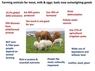 The sharp divide: Do we need animals to feed this world safely, well, sustainably, equitably and humanely? 