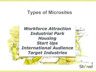 Types of Microsites
 