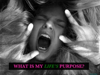 WHAT IS MY LIFE’S PURPOSE?
https://ﬂic.kr/p/537zNU
 