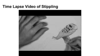 Time Lapse Video of Stippling
 