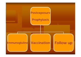 Postexposure
Prophylaxis

Immunogluline

Vaccination

Follow up
٣٢

 