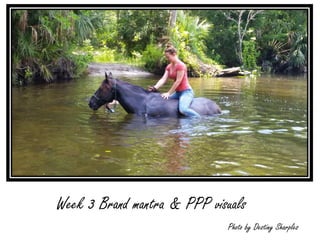Week 3 Brand mantra & PPP visuals
Photo by Destiny Sharples
 