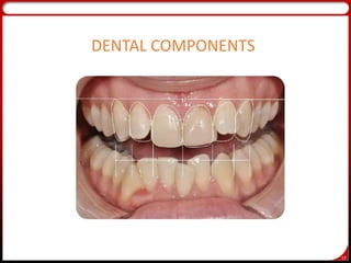 19
DENTAL COMPONENTS
 
