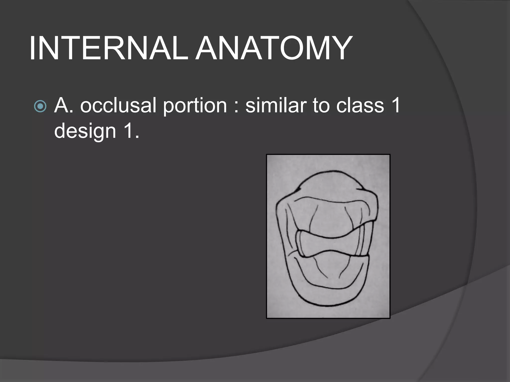 INTERNAL ANATOMY 
 A. occlusal portion : similar to class 1 
design 1. 
 