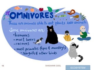 15 SHASHANK GOEL
ECOSYSTEM
 