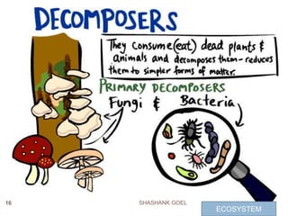 16 SHASHANK GOEL
ECOSYSTEM
 