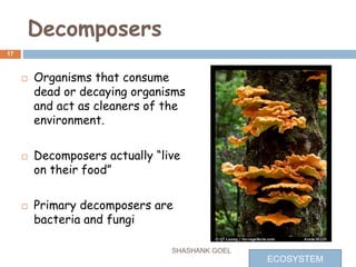 Decomposers
17
 Organisms that consume
dead or decaying organisms
and act as cleaners of the
environment.
 Decomposers actually “live
on their food”
 Primary decomposers are
bacteria and fungi
SHASHANK GOEL
ECOSYSTEM
 
