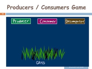 Producers / Consumers Game
19
SHASHANK GOEL
ECOSYSTEM
 