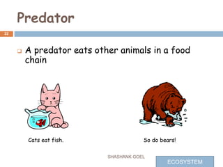 Predator
 A predator eats other animals in a food
chain
Cats eat fish. So do bears!
22
SHASHANK GOEL
ECOSYSTEM
 