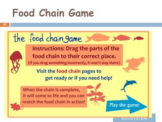 Food Chain Game
24
SHASHANK GOEL
ECOSYSTEM
 