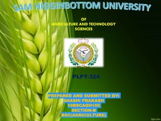 OF
AGRICULTURE AND TECHNOLOGY
SCIENCES
PLPT-324
PREPARED AND SUBMITTED BY:
SHASHI PRAKASH
19BSCAGH155
SECTION-B
BSC(AGRICULTURE)
 