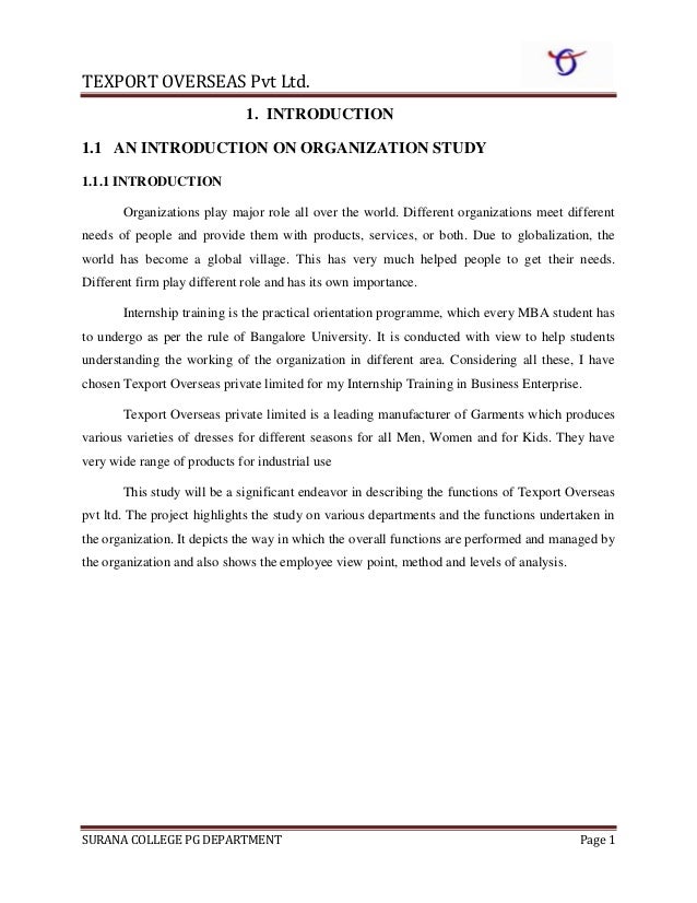 Organisation study at minar ispat pvt ltd essay picture