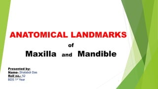 ANATOMICAL LANDMARKS
of
Maxilla and Mandible
1
Presented by:
Name- Shatabdi Das
Roll no.- 52
BDS 1st Year
 