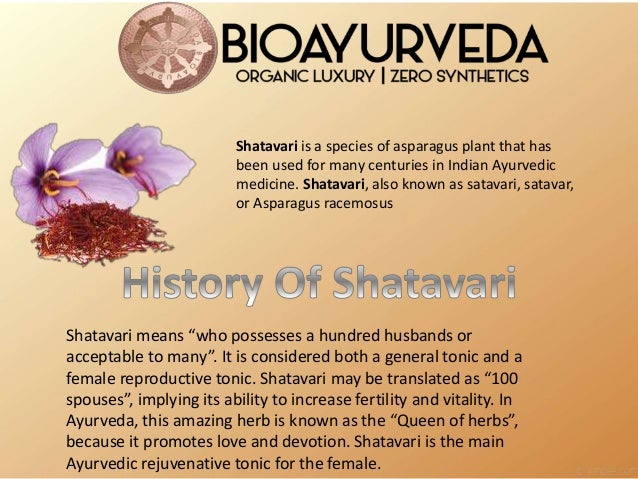 Of medicinal shatavari use Ayurvedic Herbs: