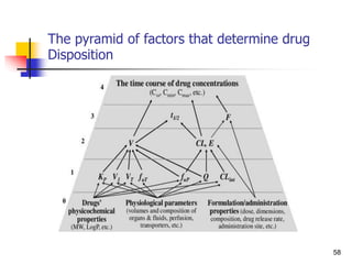 The pyramid of factors that determine drug
Disposition
58
 