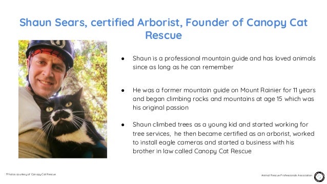 episode 20 shaun sears canopy cat rescue