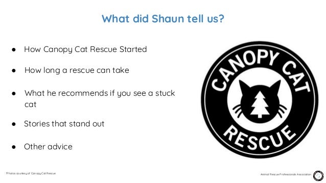episode 20 shaun sears canopy cat rescue