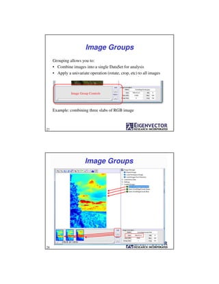 Image Groups
Grouping allows you to:
• Combine images into a single DataSet for analysis
• Apply a univariate operation (rotate, crop, etc) to all images
Example: combining three slabs of RGB image
Image Group Controls
27
Image Groups
click to view
28
 