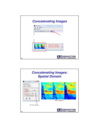 With all 3 images
loaded and grouped
Concatenating Images
29
Concatenating Images:
Spatial Domain
(768 x 1536) x 1
X, Y, Z, or tile…
30
 