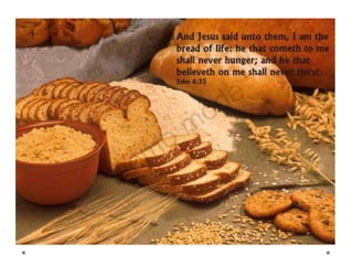 Shavuot   wekenfeest