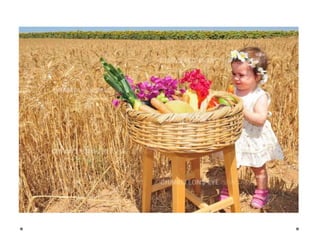 Shavuot   wekenfeest