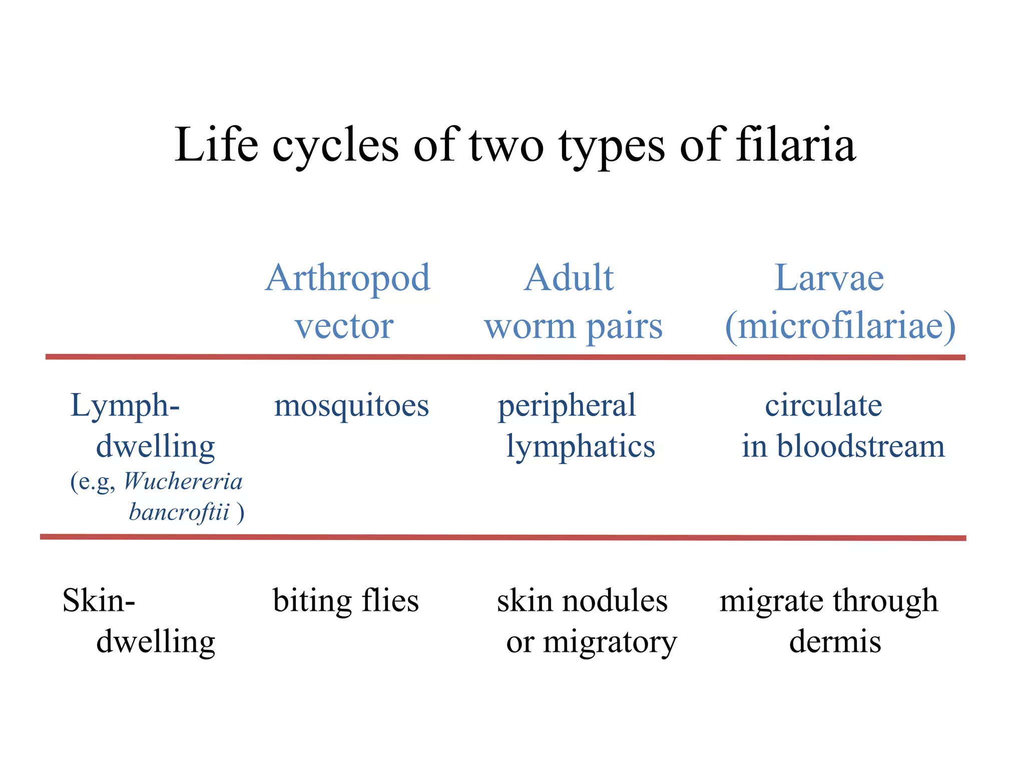 Arthropod
vector
Adult
worm pairs
Larvae
(microfilariae)
Lymph- mosquitoes peripheral circulate
dwelling lymphatics in bloodstream
(e.g, Wuchereria
bancroftii )
Skin- biting flies skin nodules migrate through
dwelling or migratory dermis
Life cycles of two types of filaria
 