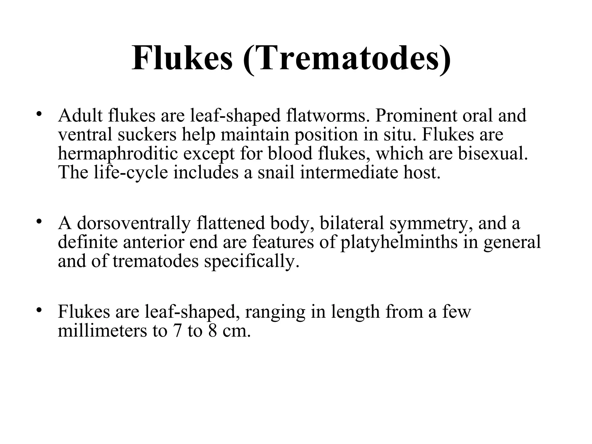 Flukes (Trematodes)
• Adult flukes are leaf-shaped flatworms. Prominent oral and
ventral suckers help maintain position in situ. Flukes are
hermaphroditic except for blood flukes, which are bisexual.
The life-cycle includes a snail intermediate host.
• A dorsoventrally flattened body, bilateral symmetry, and a
definite anterior end are features of platyhelminths in general
and of trematodes specifically.
• Flukes are leaf-shaped, ranging in length from a few
millimeters to 7 to 8 cm.
 