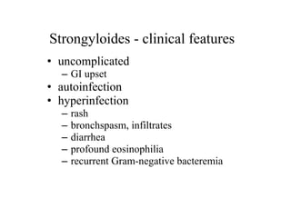 • uncomplicated
– GI upset
• autoinfection
• hyperinfection
– rash
– bronchspasm, infiltrates
– diarrhea
– profound eosinophilia
– recurrent Gram-negative bacteremia
Strongyloides - clinical features
 