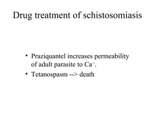 Drug treatment of schistosomiasis
• Praziquantel increases permeability
of adult parasite to Ca++
.
• Tetanospasm --> death
 