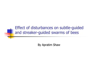 Effect of disturbances on subtle-guided
and streaker-guided swarms of bees


            By Apratim Shaw
 
