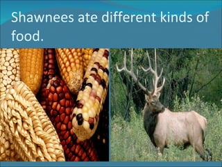 Shawnees ate different kinds of food. 