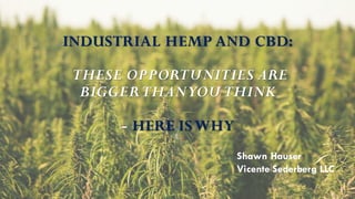 INDUSTRIAL HEMP AND CBD:
THESE OPPORTUNITIES ARE
BIGGERTHANYOU THINK
- HERE ISWHY
Shawn Hauser
Vicente Sederberg LLC
 