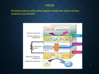 Shayan ghosh Bio-Battery | PPT