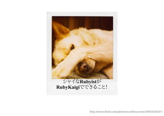 シャイなRubyistが
RubyKaigiでできること！



          http://www.ﬂickr.com/photos/cordlesscorey/3005420347/
 