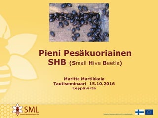 Pieni Pesäkuoriainen
SHB (Small Hive Beetle)
Maritta Martikkala
Tautiseminaari 15.10.2016
Leppävirta
 