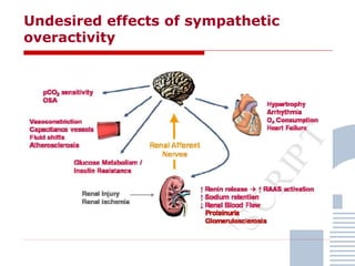 Undesired effects of sympathetic
overactivity
 