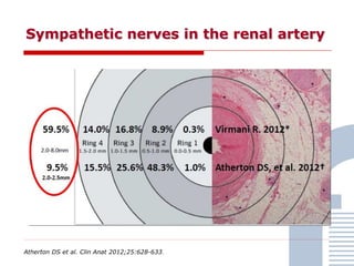 Sympathetic nerves in the renal artery
Atherton DS et al. Clin Anat 2012;25:628-633.
 