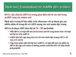 Marn Tarn Rarn Cơ sở phân tử & tế bào của hiện tượng di truyền - Sinh học đại cương | PPTX