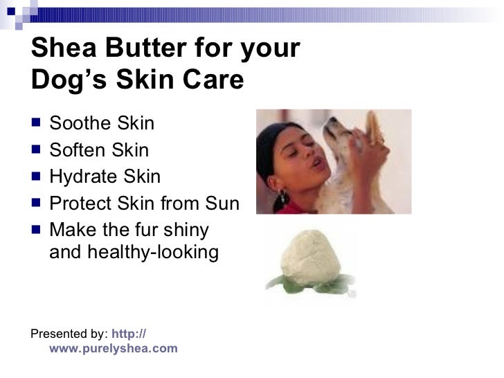 Shea Butter for Your Dog