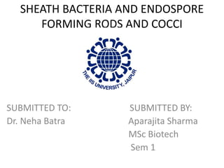 SHEATH BACTERIA AND ENDOSPORE
FORMING RODS AND COCCI
SUBMITTED TO: SUBMITTED BY:
Dr. Neha Batra Aparajita Sharma
MSc Biotech
Sem 1
 