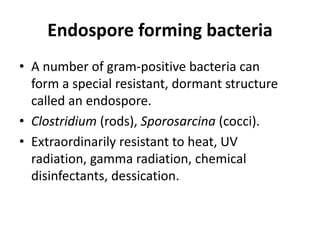 Endospore forming bacteria
• A number of gram-positive bacteria can
form a special resistant, dormant structure
called an endospore.
• Clostridium (rods), Sporosarcina (cocci).
• Extraordinarily resistant to heat, UV
radiation, gamma radiation, chemical
disinfectants, dessication.
 