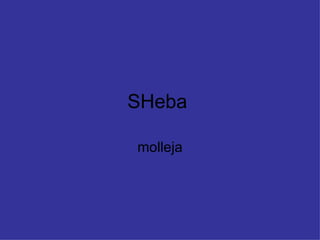SHeba  molleja 