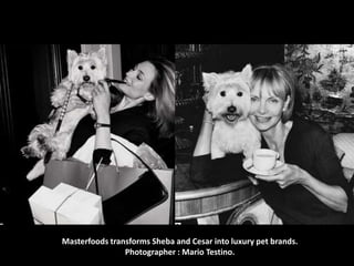 Masterfoods transforms Sheba and Cesar into luxury pet brands.
Photographer : Mario Testino.

 